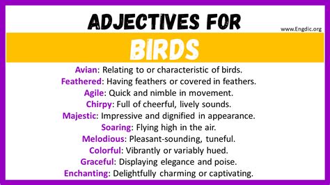 Word Hike Relating to birds [ Answer ] .